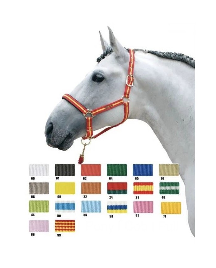 ZALDI - Licol en nylon et PVC