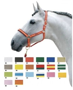 ZALDI - Licol en nylon et PVC