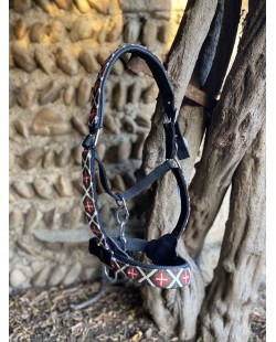 Licol robuste à motif