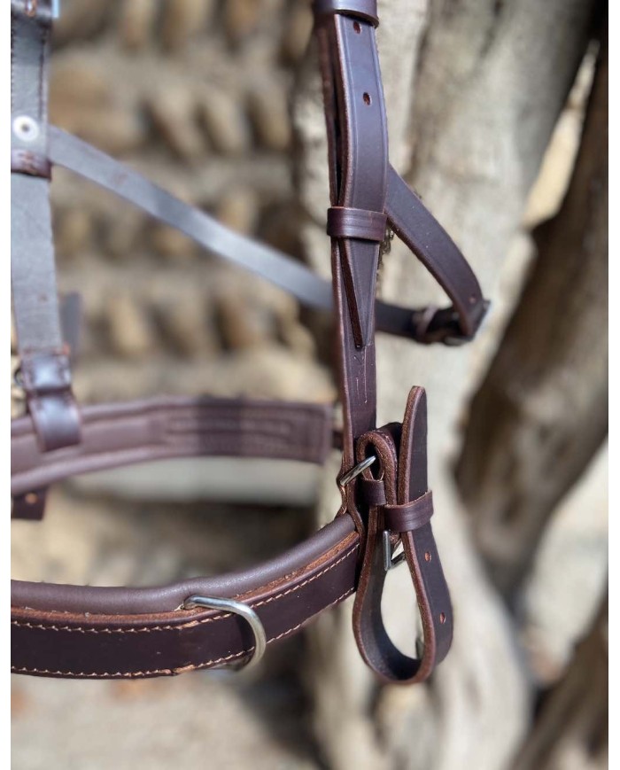 Caveçon cuir avec ou sans mors