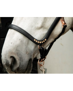 Licol anatomique rose gold