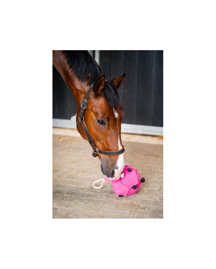 Horse Toys Ball Balle Jouet pour cheval