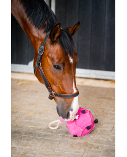 Horse Toys Ball Balle Jouet pour cheval