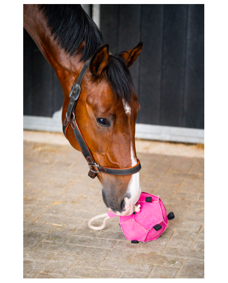 Horse Toys Ball Balle Jouet pour cheval