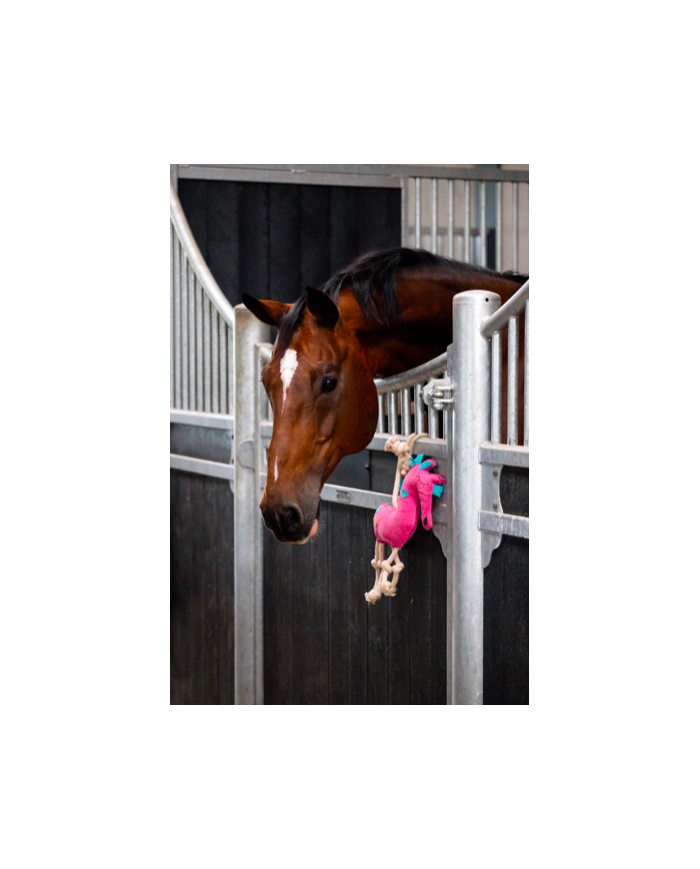 Horse toys HORSE, jouet pour cheval "CHEVAL ROSE"