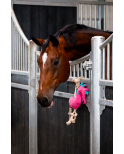 Horse toys HORSE, jouet pour cheval "CHEVAL ROSE"
