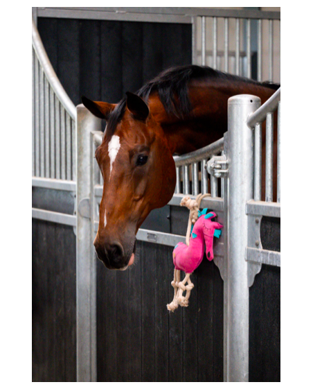Horse toys HORSE, jouet pour cheval "CHEVAL ROSE"