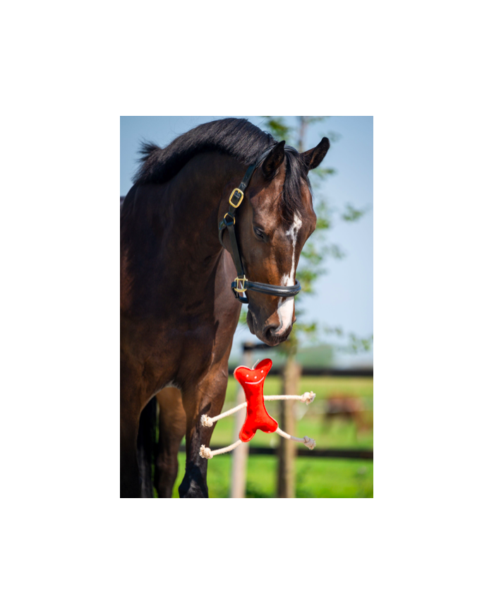 Horse Toys Mr Roper, jouet pour cheval Mr Roper