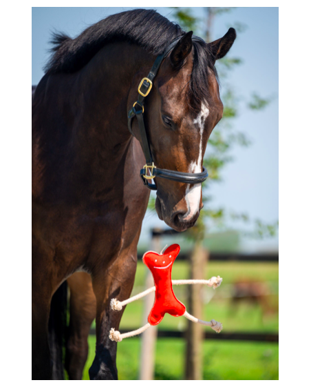 Horse Toys Mr Roper, jouet pour cheval Mr Roper
