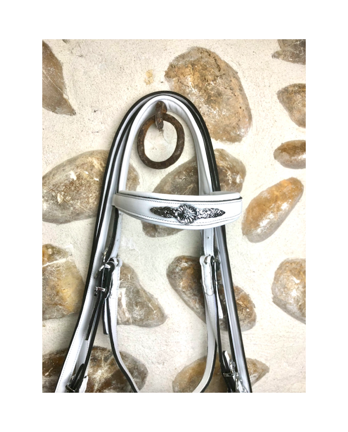 Bridon portugais Black & White