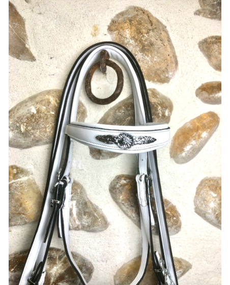 Bridon portugais Black & White