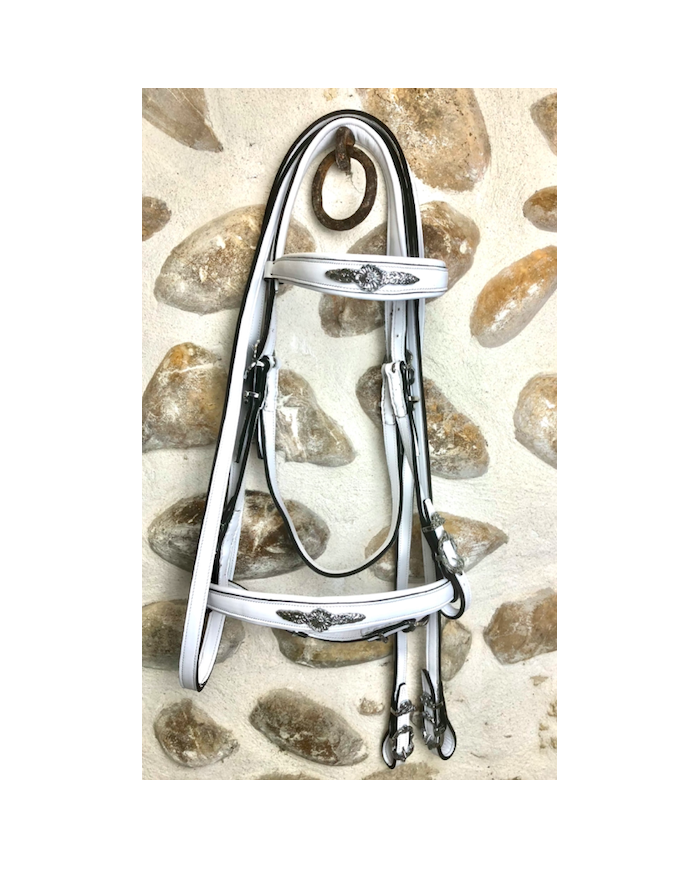 Bridon portugais Black & White