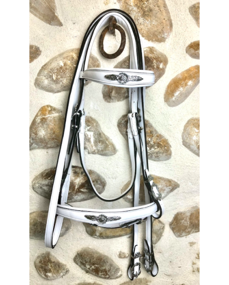 Bridon portugais Black & White