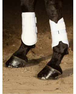 Guêtres air mesh Harry's Horse blanches