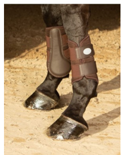 Guêtres air mesh Harry's Horse marron