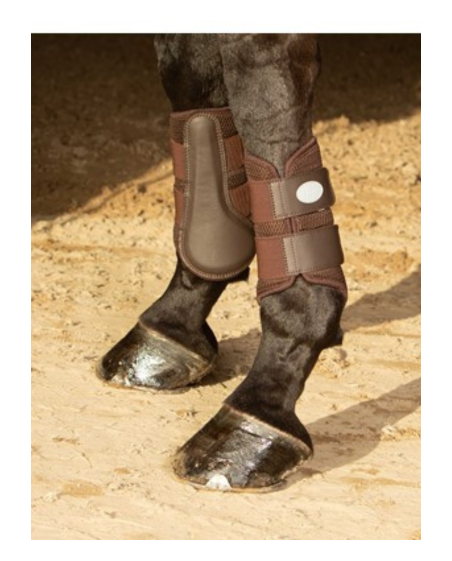 Guêtres air mesh Harry's Horse marron