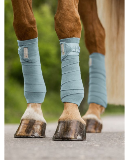 Bandes Polaires Florenz Ruban vert d'eau