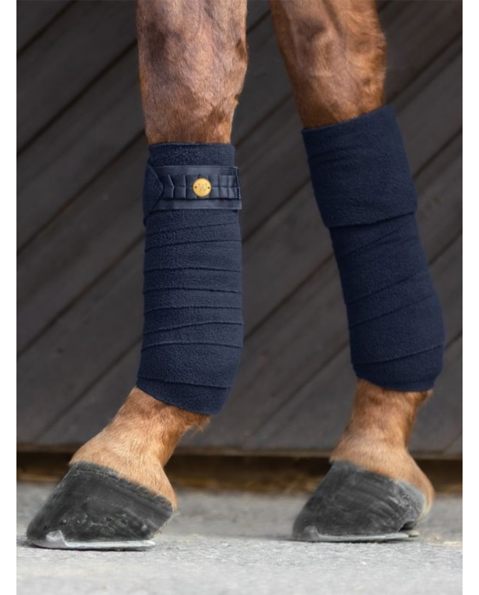 Bandes Polaires Florenz Ruban bleu marine