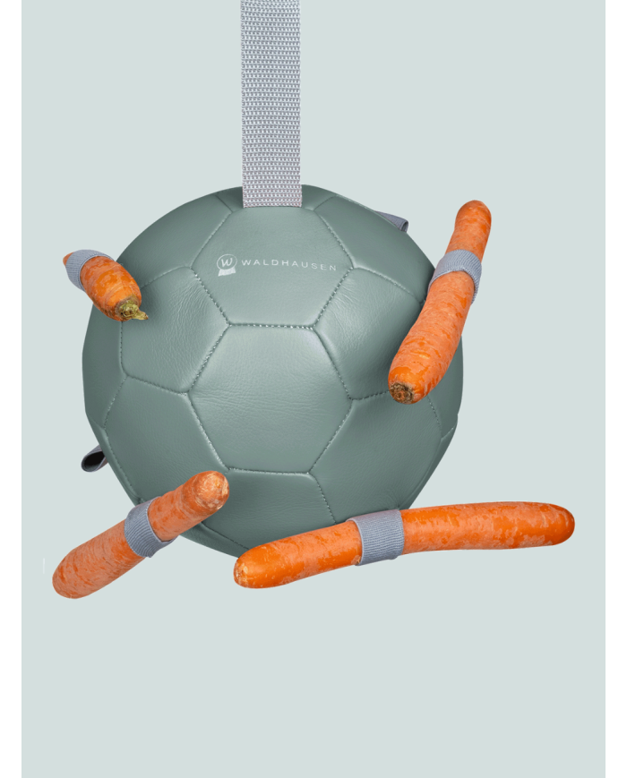 Ballon à carottes, jouet cheval, jouet,