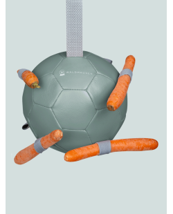 Ballon à carottes, jouet cheval, jouet,