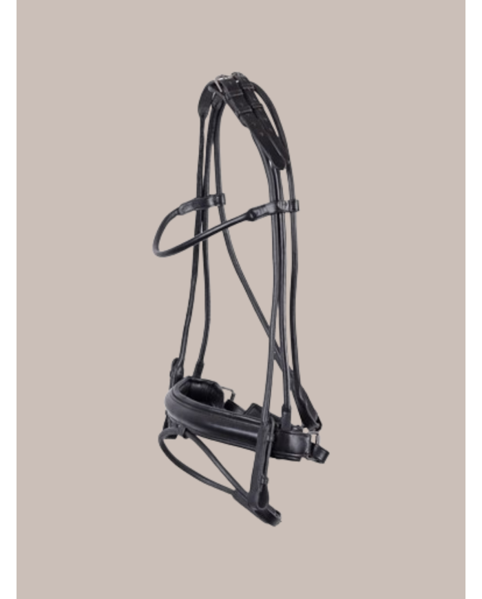 Bridon en cuir rond, marron et noir