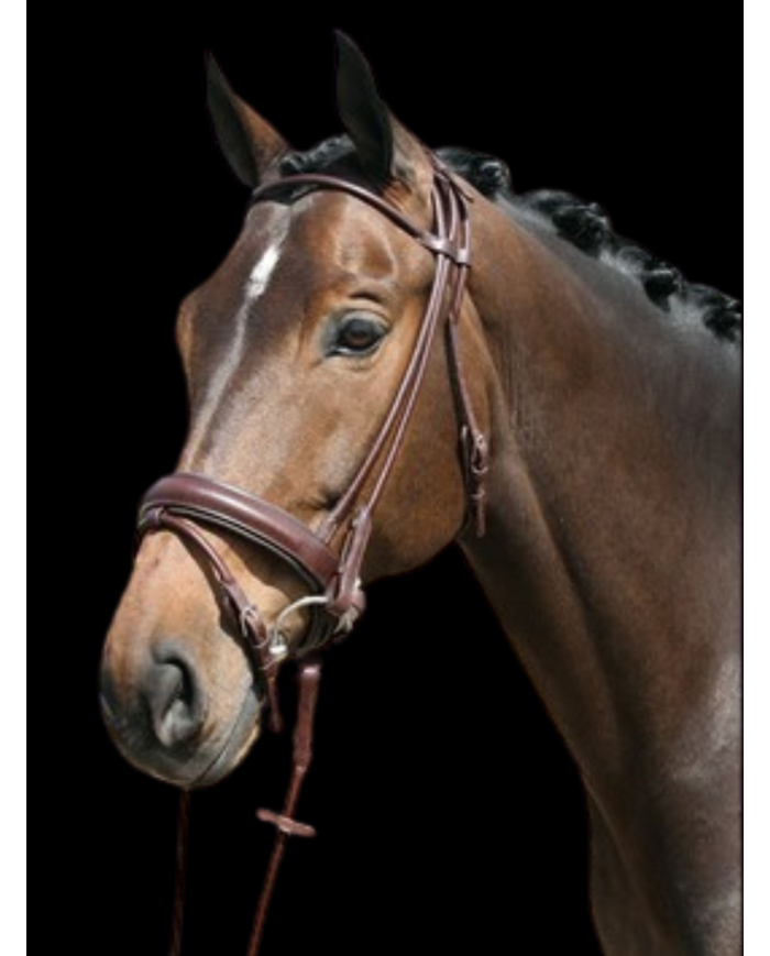 Bridon en cuir rond pas cher, marron et noir