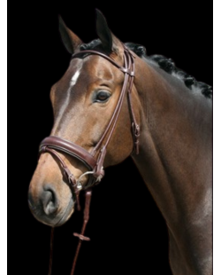 Bridon en cuir rond pas cher, marron et noir