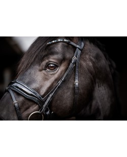 bridon Evalira bleu, éclat, strass, cristaux