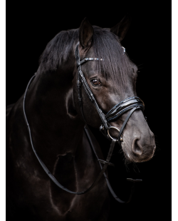 bridon Evalira bleu, éclat, strass, cristaux