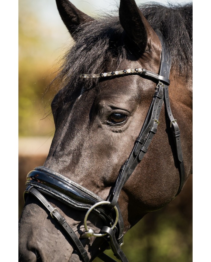 bridon Evalira GRIS, éclat, strass, cristaux