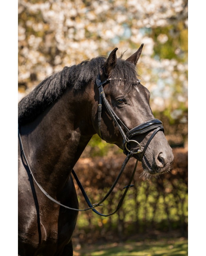 bridon Evalira GRIS, éclat, strass, cristaux