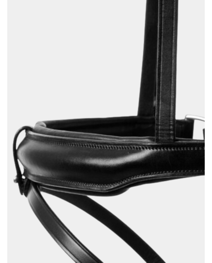 Bridon Carla Lexhis Classic, avec têtière anatomique, marron et noir.