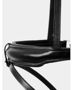 Bridon Carla Lexhis Classic, avec têtière anatomique, marron et noir.