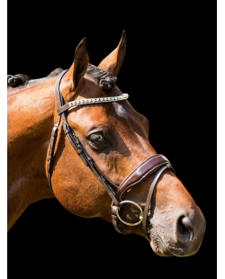 Chicago HB simple Bridle