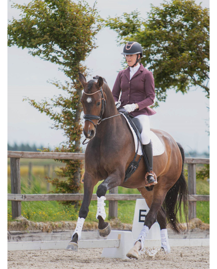Veste De Concours Crystal Harry Horse