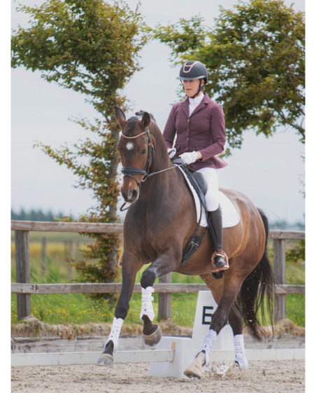 Veste De Concours Crystal Harry Horse