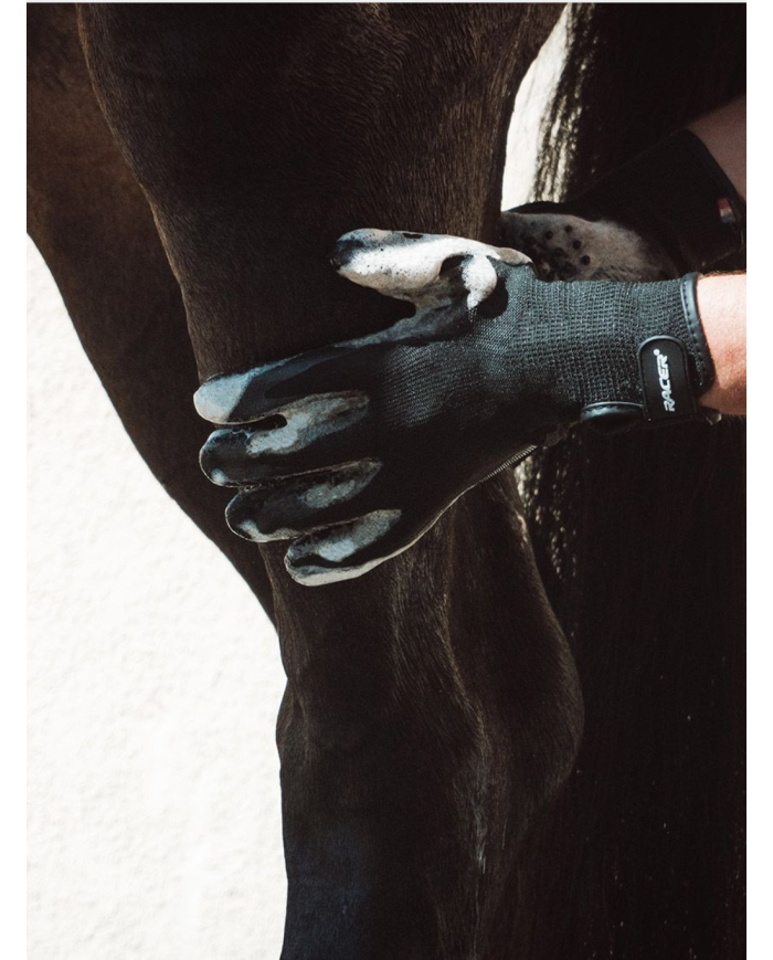 Gant groomer RACER, gant à lustrer, gant nettoyant pour cheval