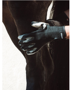 Gant groomer RACER, gant à lustrer, gant nettoyant pour cheval