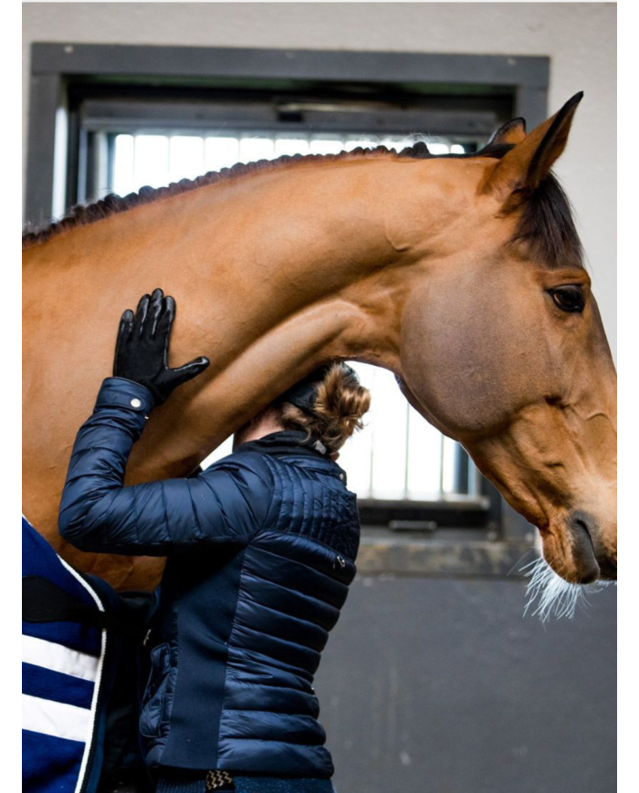 Gant groomer RACER, gant à lustrer, gant nettoyant pour cheval