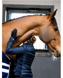 Gant groomer RACER, gant à lustrer, gant nettoyant pour cheval
