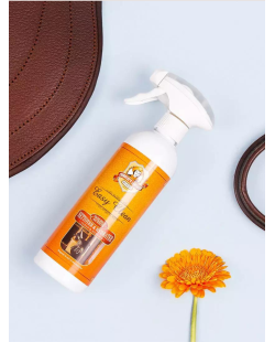 Spray Easy Clean Charlee's Leather