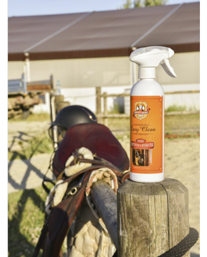 Spray Easy Clean Charlee's Leather