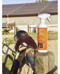 Spray Easy Clean Charlee's Leather