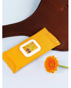 Lingette Easy Clean Charlee's Leather