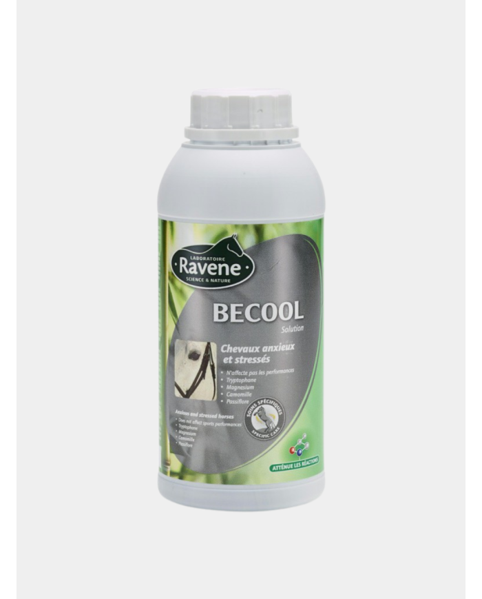 BECOOL flash RAVENE