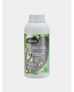 BECOOL flash RAVENE