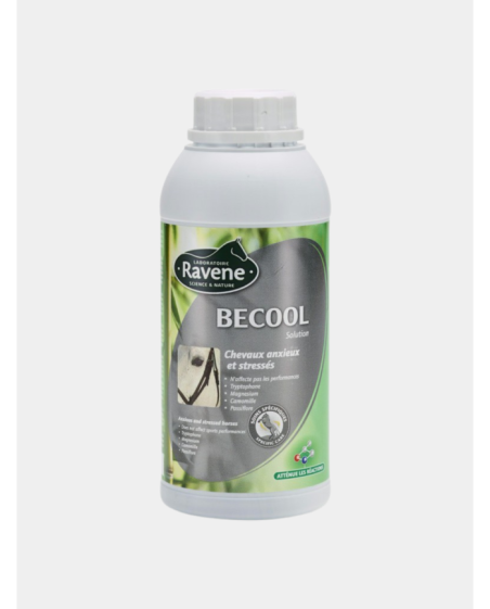 BECOOL flash RAVENE