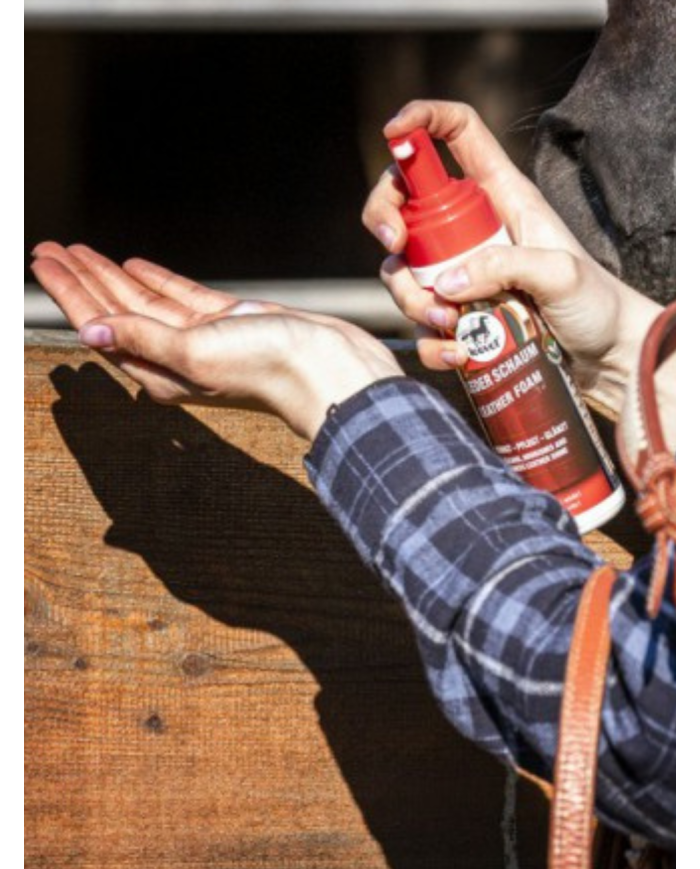 Mousse pour cuir