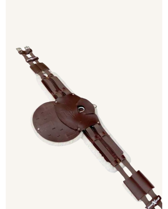 MARJOMAN - Sangle Xpandgirth CSO bavette avec mouton