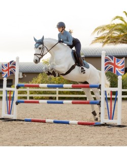 LeMieux - Tapis Square CSO Loire Classic
